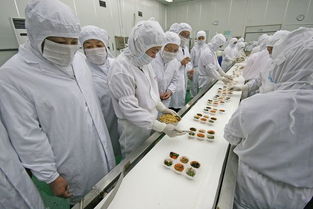河北食品企業(yè)QS許可審查咨詢認證與教育咨詢服務(wù)全解析