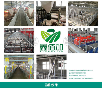 鑫佰加畜牧設備 專業打造犢牛用奶壺，助力高效養殖